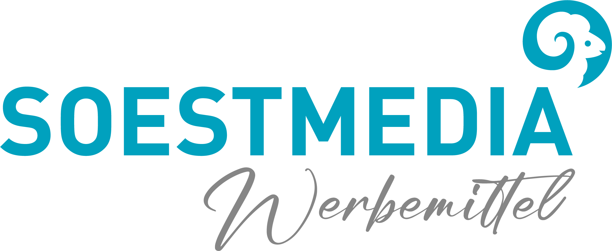 Logo Soestmedia