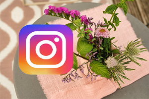 Instagram Link